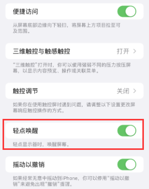 义安苹果授权维修站分享iPhone轻点无法唤醒怎么办 