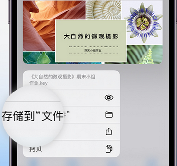 义安apple维修中心分享iPhone文件应用中存储和找到下载文件