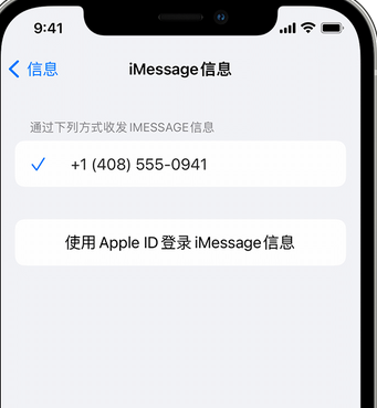 义安apple维修iPhone上无法正常发送iMessage信息 