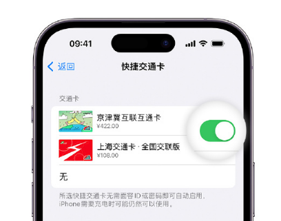 义安apple维修点分享iPhone上更换Apple Pay快捷交通卡手绘卡面 