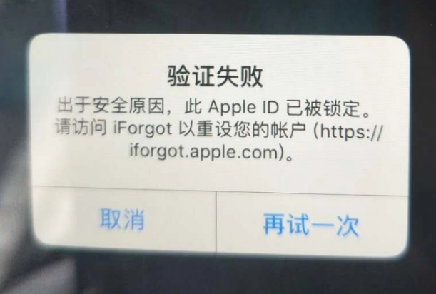 义安iPhone维修分享iPhone上正常登录或使用AppleID怎么办 