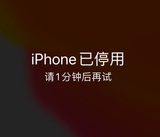 义安苹果手机维修分享:iPhone 显示“不可用”或“已停用”怎么办？还能保留数据吗？ 