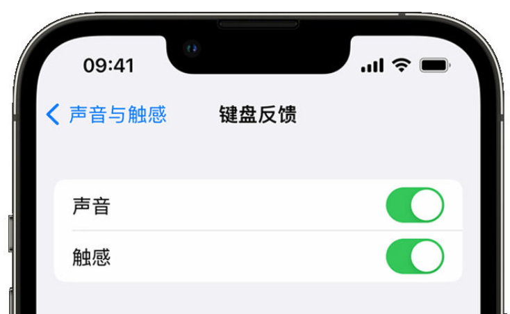 义安苹果手机维修分享iPhone 14触感键盘使用方法 