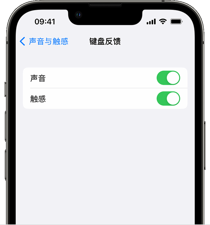 义安苹果14维修店分享如何在 iPhone 14 机型中使用触感键盘 