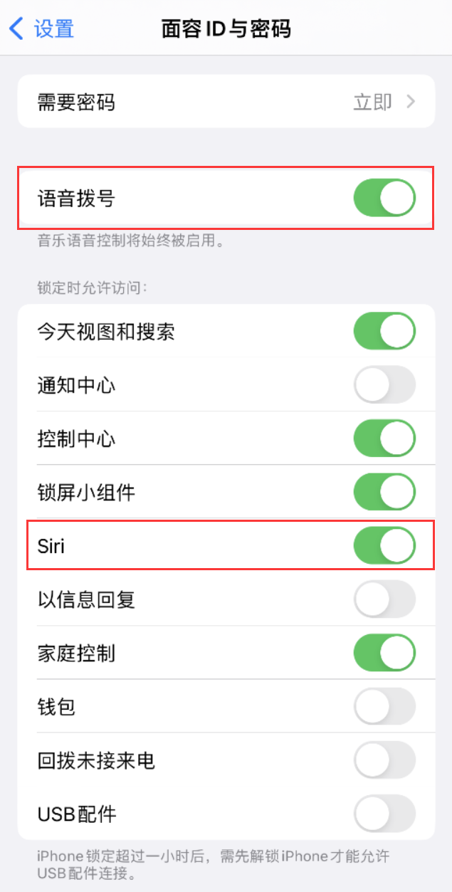 义安苹果维修网点分享不解锁 iPhone 的情况下通过 Siri 拨打电话的方法 