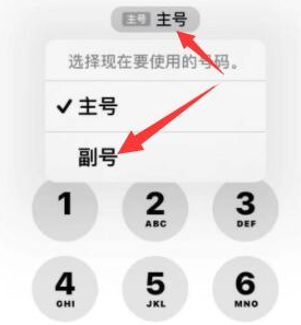 义安苹果14维修店分享iPhone 14 Pro Max使用副卡打电话的方法 