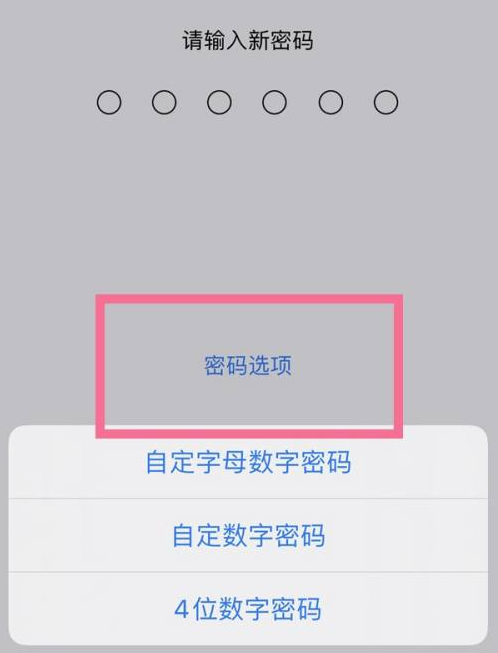 义安苹果14维修分享iPhone 14plus设置密码的方法 