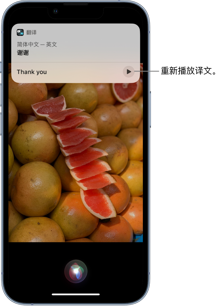 义安苹果14维修分享 iPhone 14 机型中使用 Siri：了解 Siri 能帮你做什么 