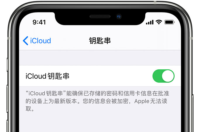 义安苹果手机维修分享在 iPhone 上开启 iCloud 钥匙串之后会储存哪些信息 